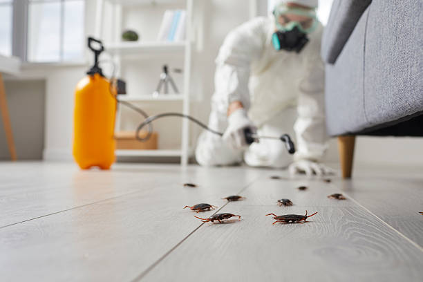 Commercial Kitchen Cockroach Control in Pembroke Park